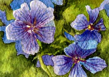 "Singin' The Blues" by Sherry Ackerman, Cottage Grove WI - Watercolor - SOLD